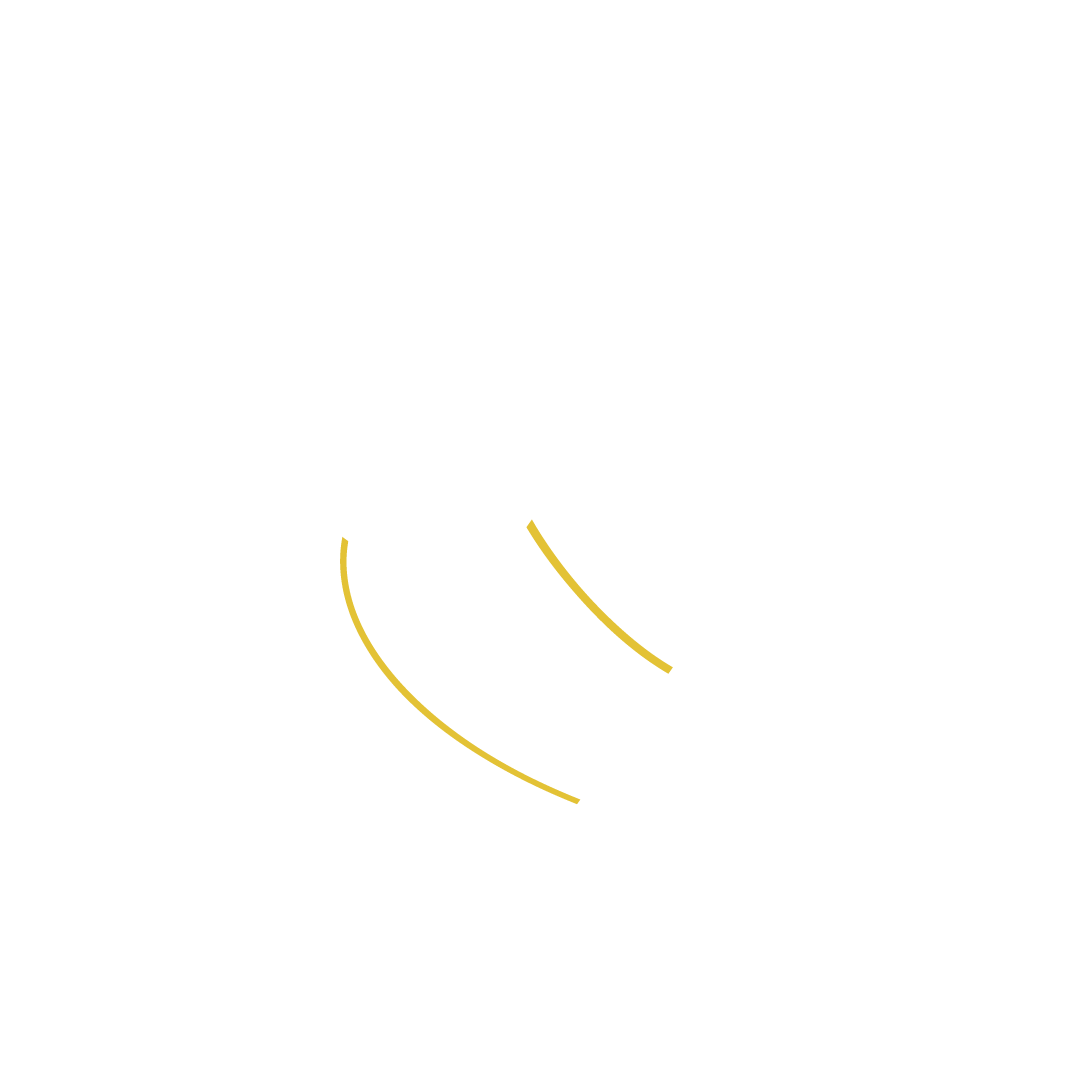Image decription