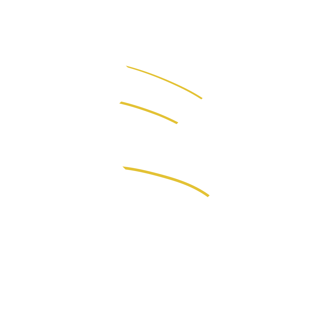 Image decription